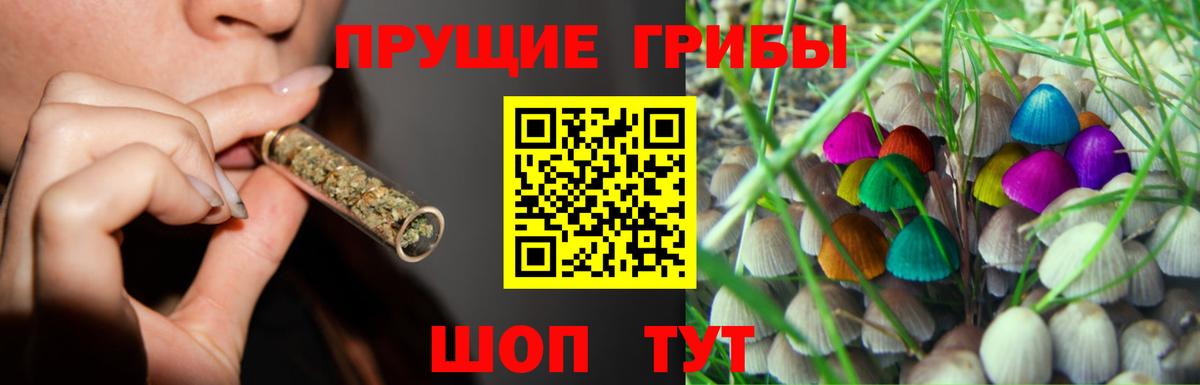 Галлюциногенные грибы мицелий Саратов
